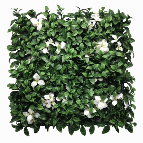 Follaje Gardenia 50 x 50 cm - 957907